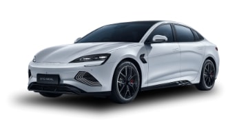 BDY SEAL - Performance