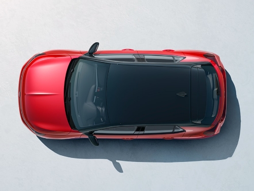 Contrasting black roof